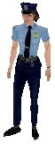 Police Officer